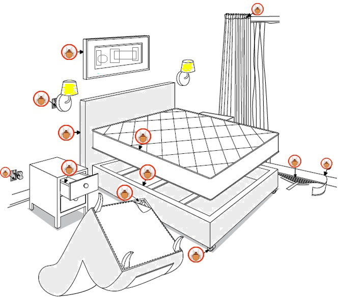 3 шага обнаружения клопов в квартире